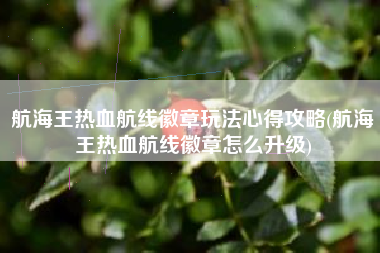 航海王热血航线徽章玩法心得攻略(航海王热血航线徽章怎么升级)