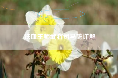 铁血王师武将司马懿详解