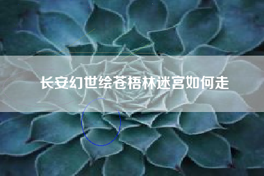 长安幻世绘苍梧林迷宫如何走