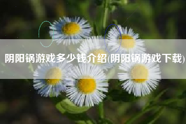 阴阳锅游戏多少钱介绍(阴阳锅游戏下载)