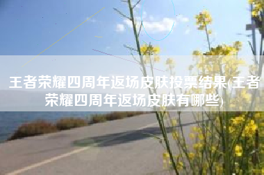 王者荣耀四周年返场皮肤投票结果(王者荣耀四周年返场皮肤有哪些)