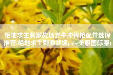 绝地求生刺激战场野牛冲锋枪配件选择推荐(绝地求生刺激战场pubg美服国际服)