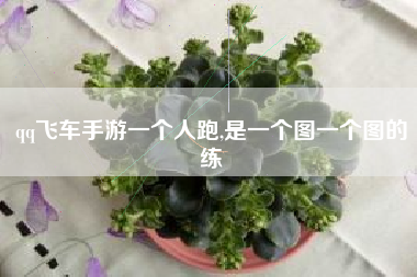 qq飞车手游一个人跑,是一个图一个图的练