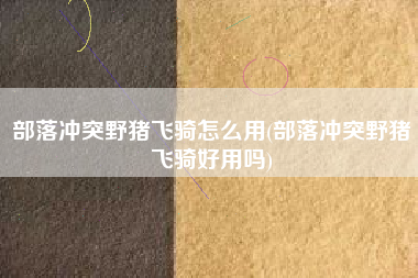 部落冲突野猪飞骑怎么用(部落冲突野猪飞骑好用吗)
