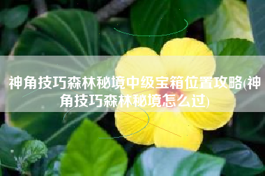 神角技巧森林秘境中级宝箱位置攻略(神角技巧森林秘境怎么过)