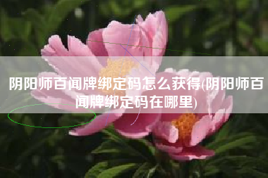 阴阳师百闻牌绑定码怎么获得(阴阳师百闻牌绑定码在哪里)