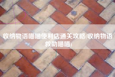 收纳物语喵喵便利店通关攻略(收纳物语 救助喵喵)