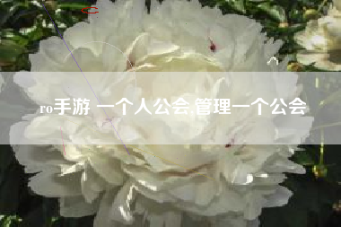 ro手游 一个人公会,管理一个公会