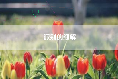 派别的细解