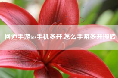 问道手游ios手机多开,怎么手游多开搬砖