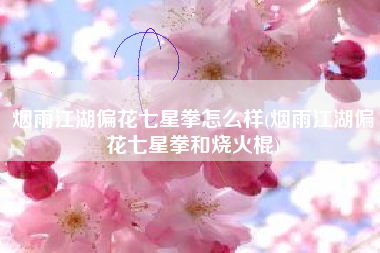 烟雨江湖偏花七星拳怎么样(烟雨江湖偏花七星拳和烧火棍)