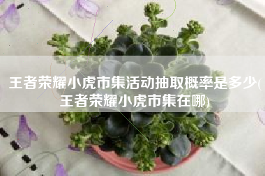 王者荣耀小虎市集活动抽取概率是多少(王者荣耀小虎市集在哪)
