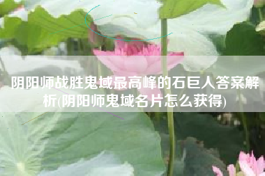 阴阳师战胜鬼域最高峰的石巨人答案解析(阴阳师鬼域名片怎么获得)