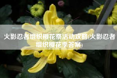 火影忍者组织樱花祭活动攻略(火影忍者组织樱花季答案)