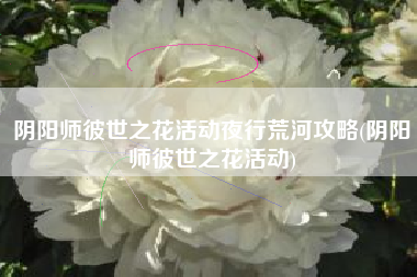 阴阳师彼世之花活动夜行荒河攻略(阴阳师彼世之花活动)
