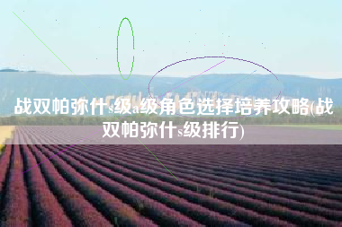 战双帕弥什s级a级角色选择培养攻略(战双帕弥什s级排行)