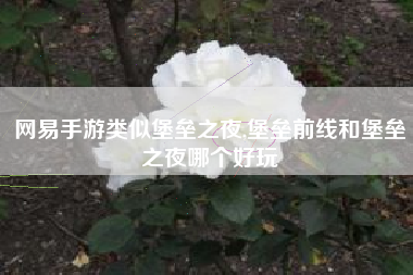 网易手游类似堡垒之夜,堡垒前线和堡垒之夜哪个好玩