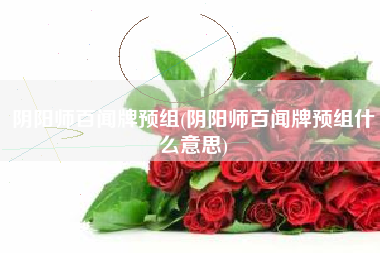 阴阳师百闻牌预组(阴阳师百闻牌预组什么意思)