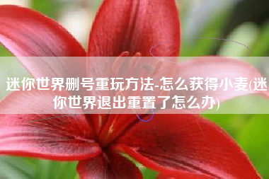 迷你世界删号重玩方法-怎么获得小麦(迷你世界退出重置了怎么办)
