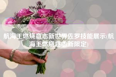 航海王燃烧意志新世界佐罗技能展示(航海王燃烧意志新限定)