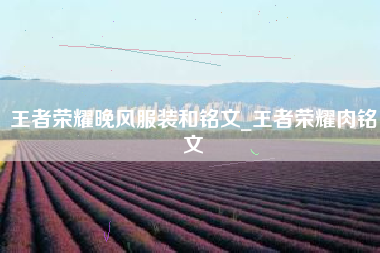 王者荣耀晚风服装和铭文_王者荣耀肉铭文
