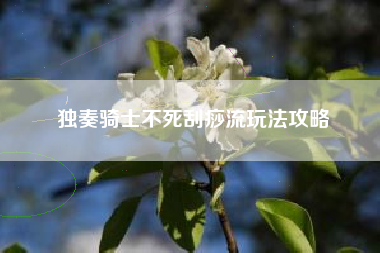 独奏骑士不死刮痧流玩法攻略