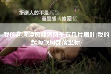 我的起源唤风部落风车有几片扇叶(我的起源唤风部落坐标)