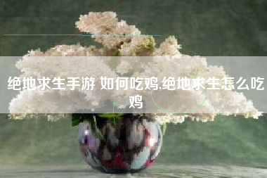 绝地求生手游 如何吃鸡,绝地求生怎么吃鸡