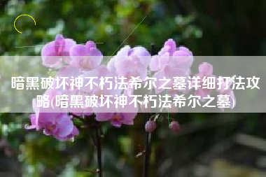 暗黑破坏神不朽法希尔之墓详细打法攻略(暗黑破坏神不朽法希尔之墓)
