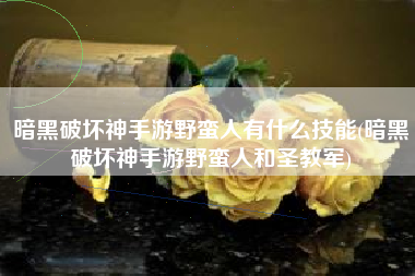 暗黑破坏神手游野蛮人有什么技能(暗黑破坏神手游野蛮人和圣教军)