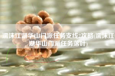 濡沫江湖华山门派任务支线2攻略(濡沫江湖华山门派任务落叶)