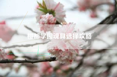 樱都学园魂具选择攻略