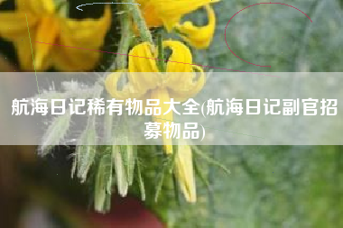 航海日记稀有物品大全(航海日记副官招募物品)