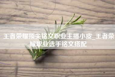 王者荣耀顶尖铭文职业主播小皮_王者荣耀职业选手铭文搭配