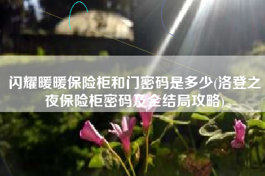 闪耀暖暖保险柜和门密码是多少(洛登之夜保险柜密码及全结局攻略)