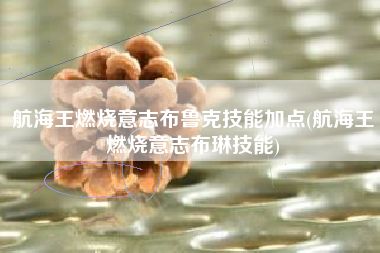 航海王燃烧意志布鲁克技能加点(航海王燃烧意志布琳技能)
