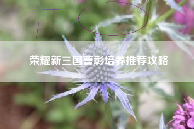 荣耀新三国曹彰培养推荐攻略