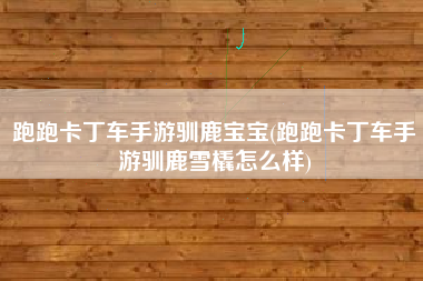 跑跑卡丁车手游驯鹿宝宝(跑跑卡丁车手游驯鹿雪橇怎么样)