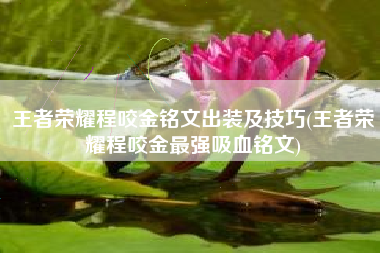 王者荣耀程咬金铭文出装及技巧(王者荣耀程咬金最强吸血铭文)
