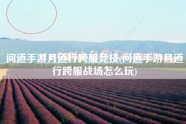 问道手游月道行跨服竞技(问道手游月道行跨服战场怎么玩)