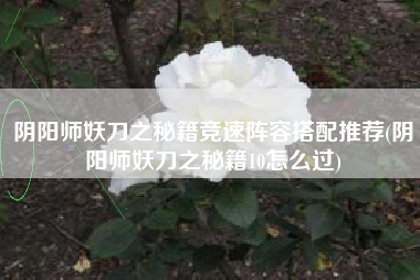 阴阳师妖刀之秘籍竞速阵容搭配推荐(阴阳师妖刀之秘籍10怎么过)