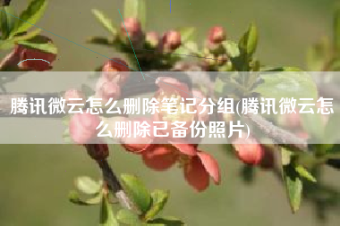 腾讯微云怎么删除笔记分组(腾讯微云怎么删除已备份照片)