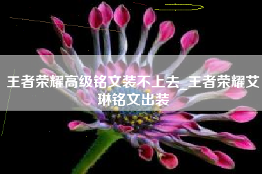 王者荣耀高级铭文装不上去_王者荣耀艾琳铭文出装