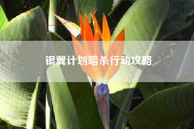 银翼计划暗杀行动攻略