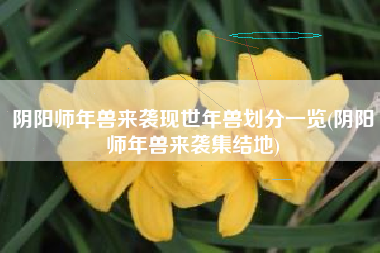 阴阳师年兽来袭现世年兽划分一览(阴阳师年兽来袭集结地)