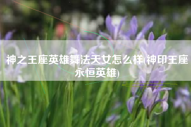神之王座英雄舞法天女怎么样(神印王座永恒英雄)