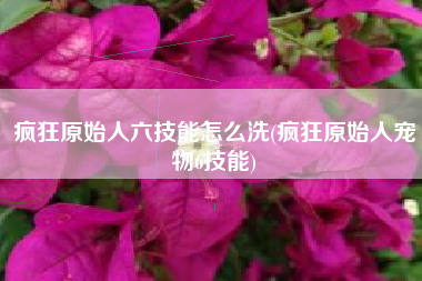 疯狂原始人六技能怎么洗(疯狂原始人宠物6技能)