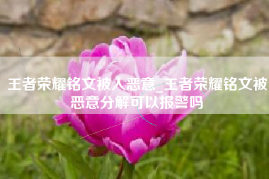 王者荣耀铭文被人恶意_王者荣耀铭文被恶意分解可以报警吗