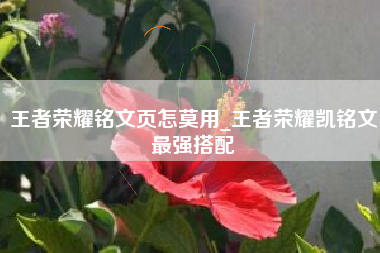 王者荣耀铭文页怎莫用_王者荣耀凯铭文最强搭配