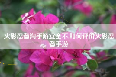火影忍者淘手游安全不,如何评价火影忍者手游